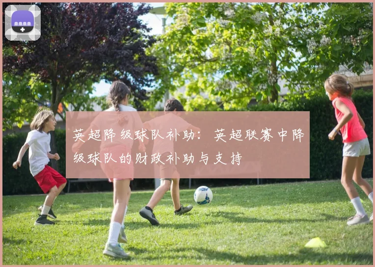 英超降级球队补助：英超联赛中降级球队的财政补助与支持